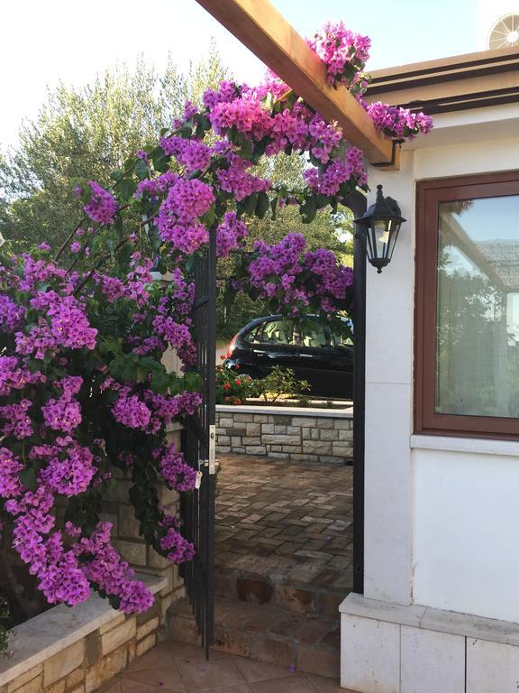 Vera Bed And Breakfast Valizza Exteriör bild